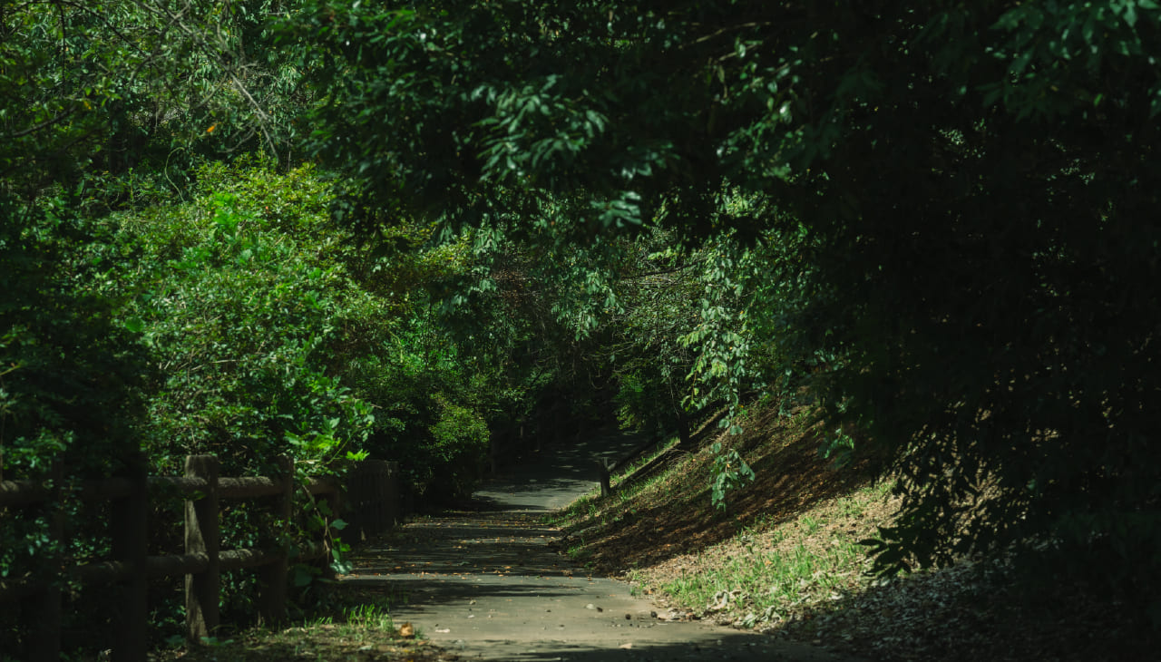 那須の四季の写真1枚目